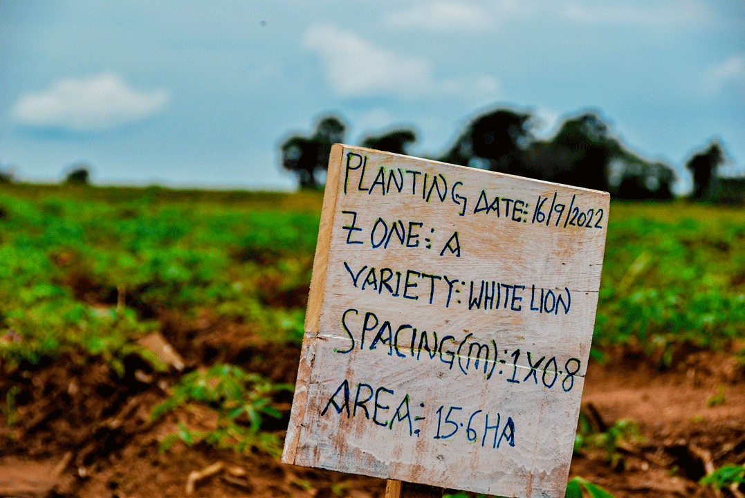 planting-signpost