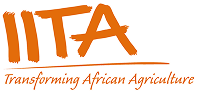 IITA 1